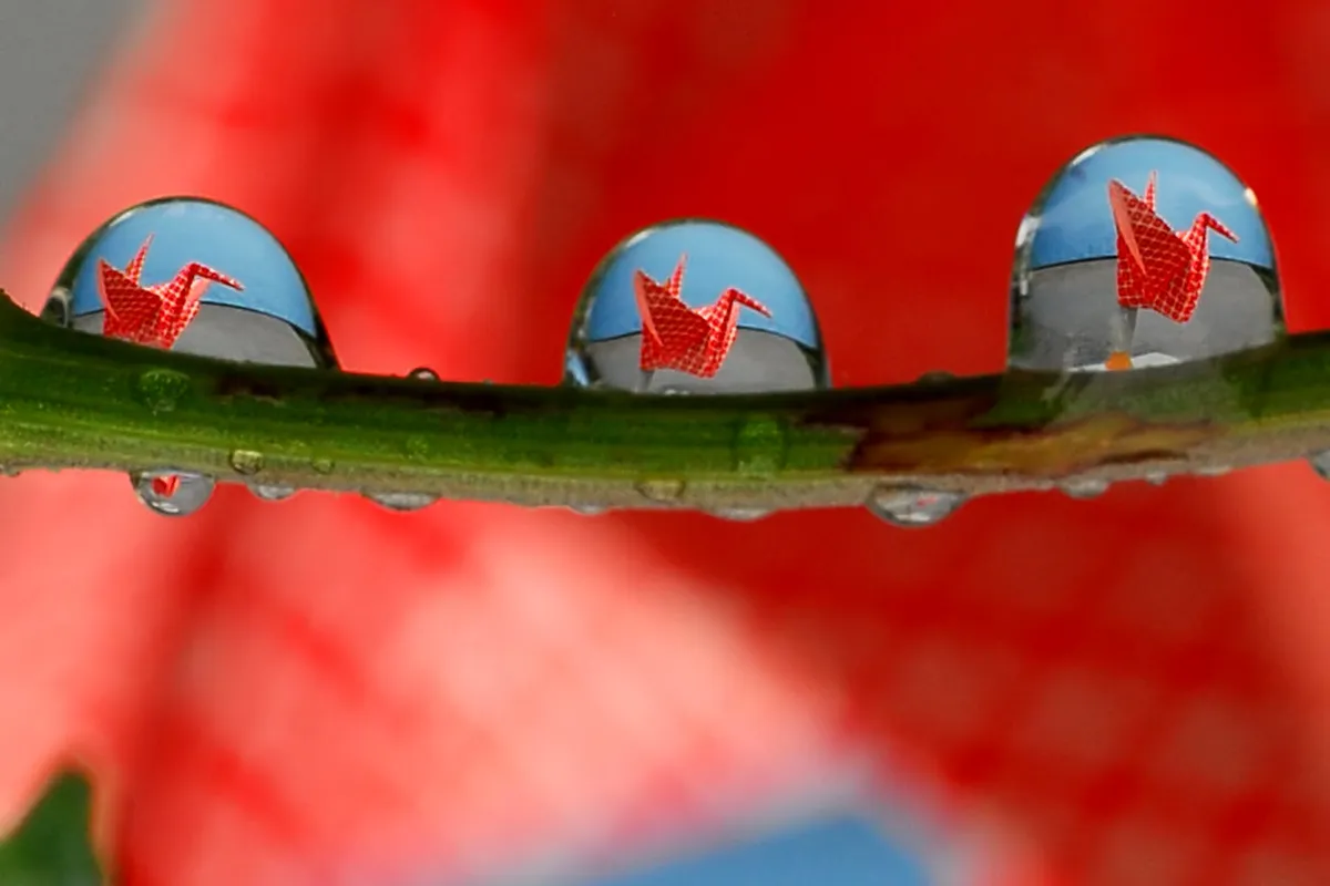 Unique Angles for Photographing Ronda's Puente Nuevo