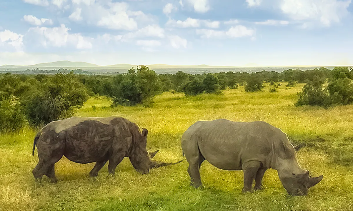 Villamayor Stone Conservation in Salamanca: A Guide for 2025