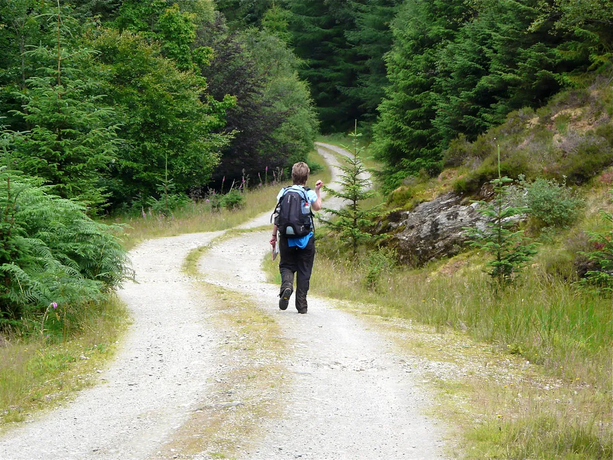 Finding the Astronaut on Salamanca Cathedral in 2025