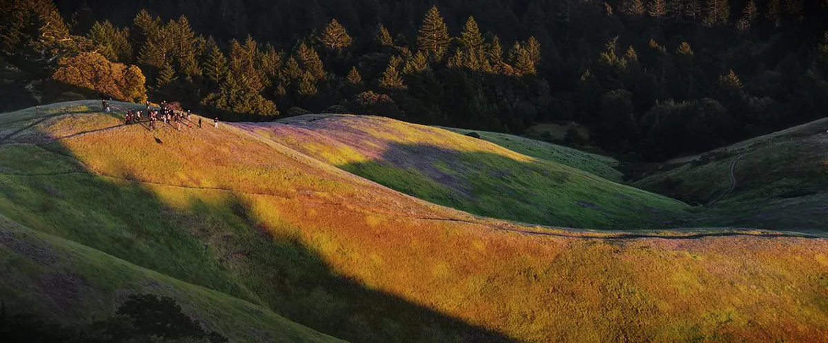 Buen Pastor Cathedral Visiting Hours & Tips for 2025