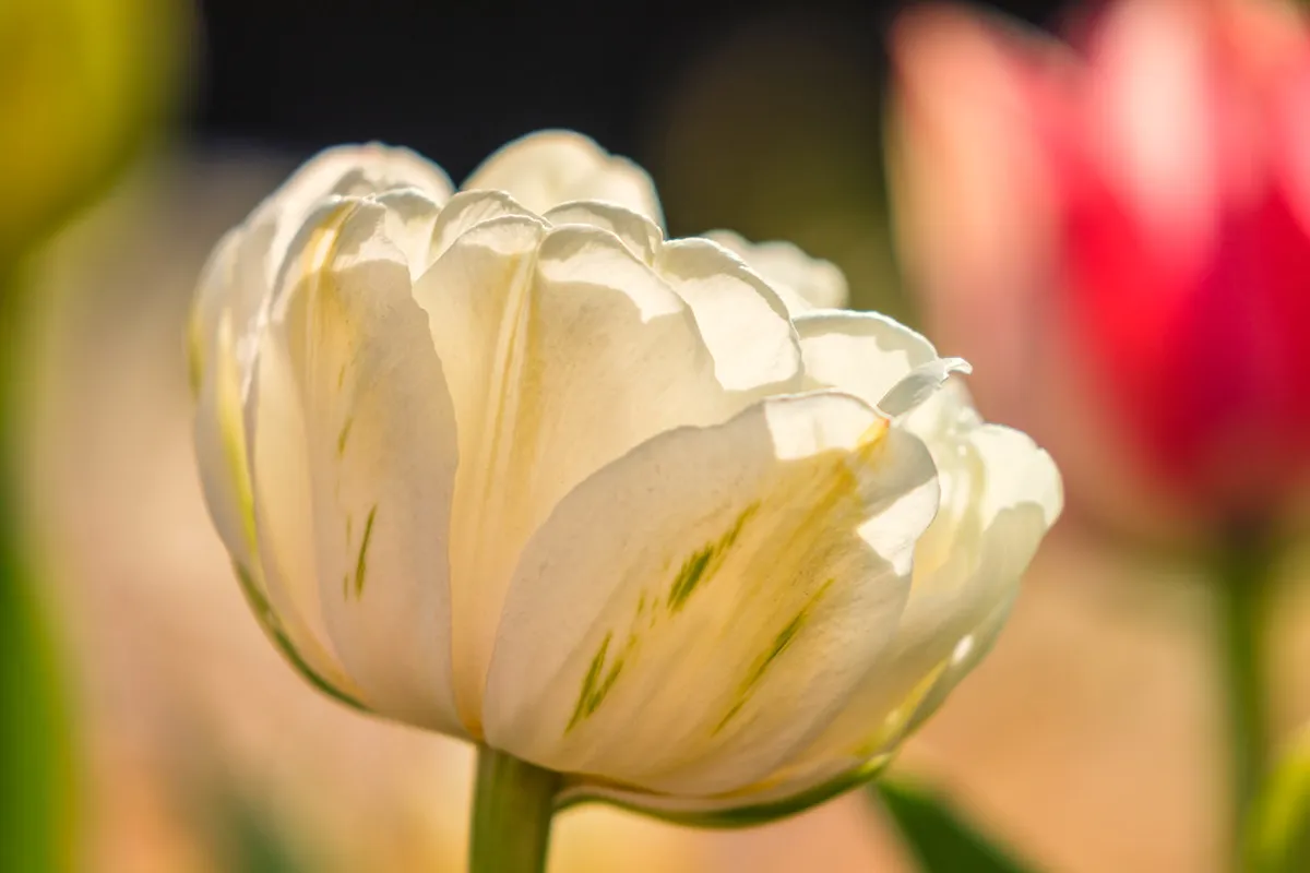 Visiting the Gardens of Miramar Palace in San Sebastián