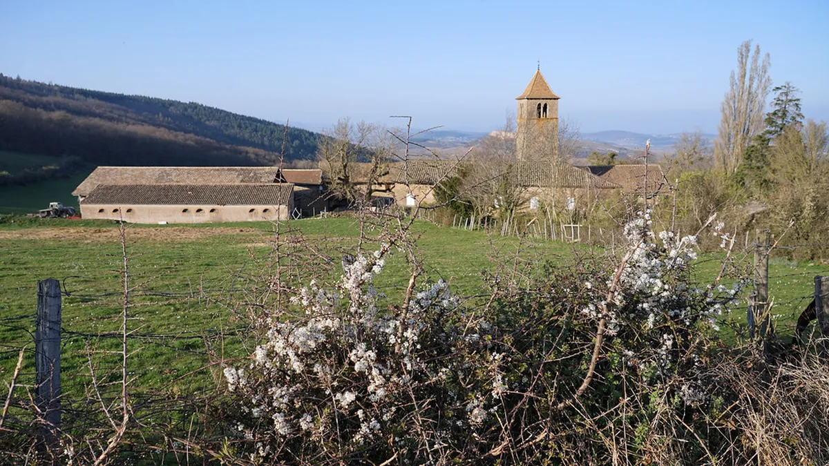 Manuel de Echave: San Sebastián's Architectural Master
