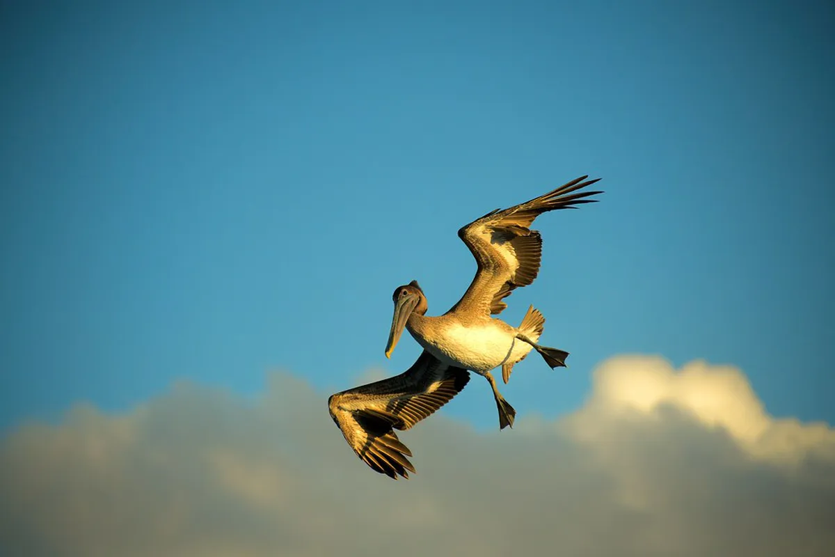 Discover Santa Cruz: Best Colonial Houses in 2025