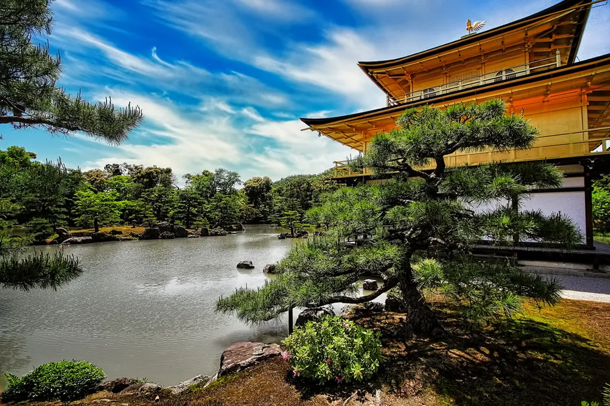 Architectural Structures within the Palmetum | Santa Cruz