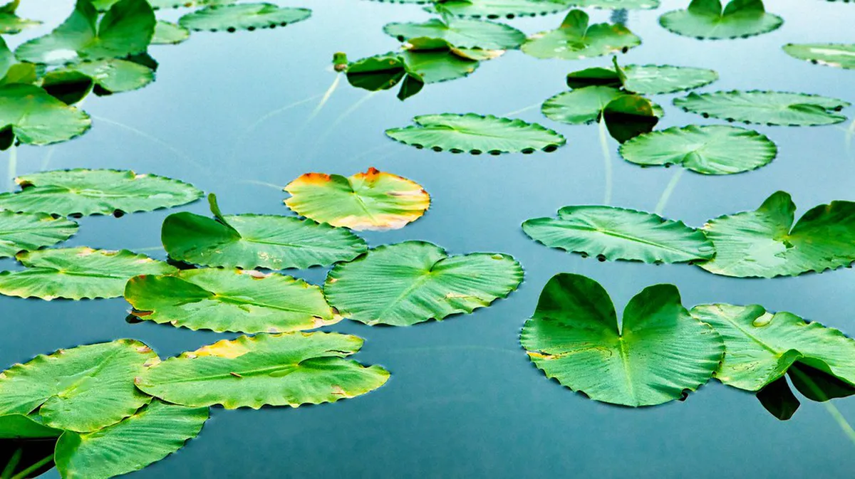 Visiting Círculo de Amistad: A Santa Cruz Tourist Guide