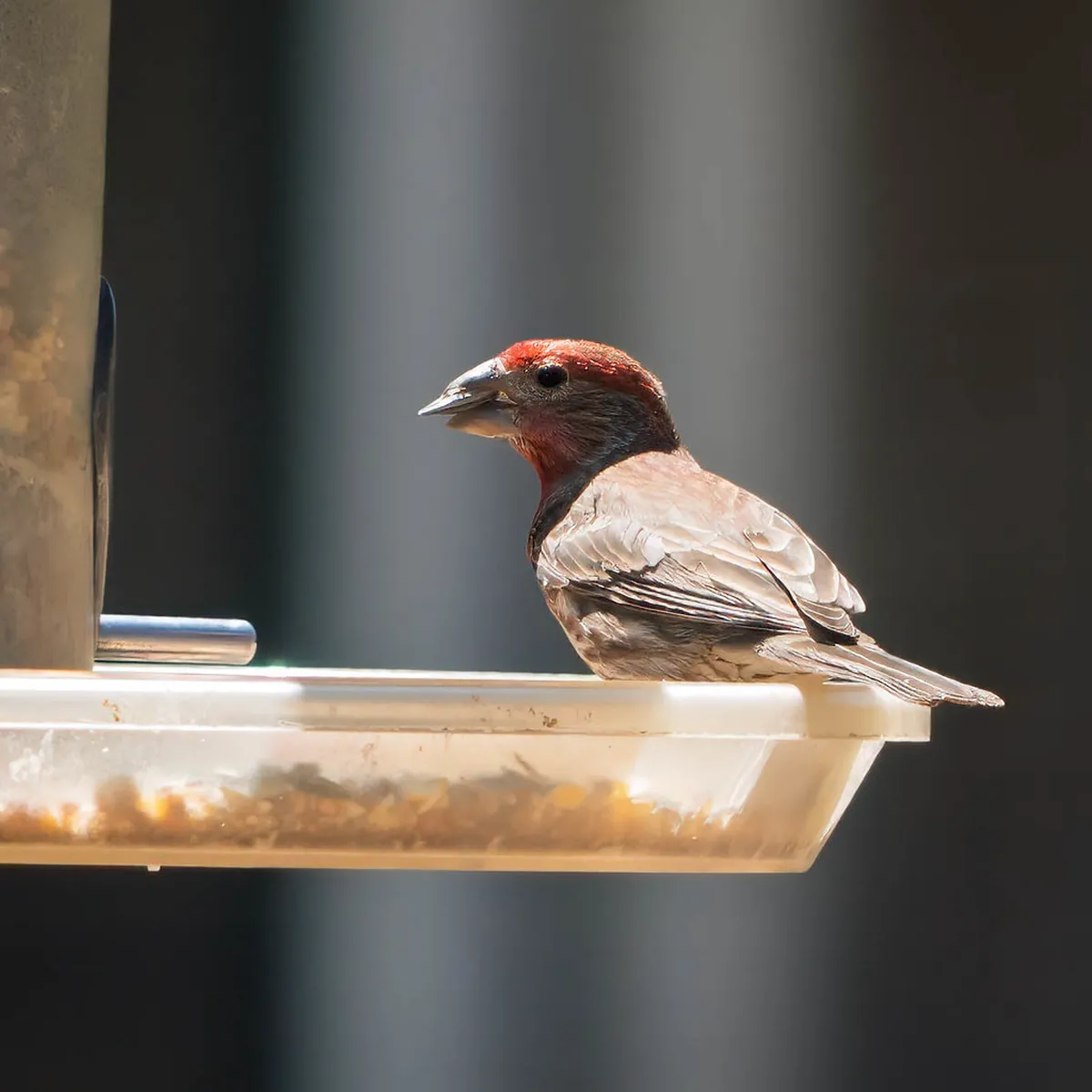 Challenges of Preserving Historic Canarian Buildings in 2025