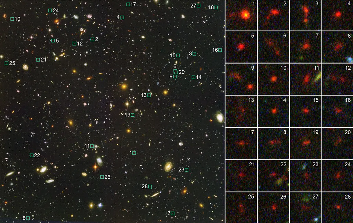 Green Buildings in Santa Cruz: Eco-Friendly Tenerife