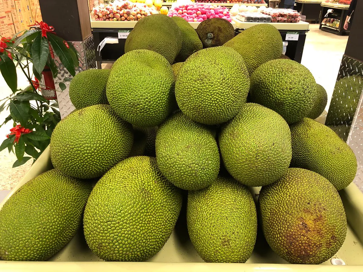 García Sanabria Park: Landscape Architecture Guide