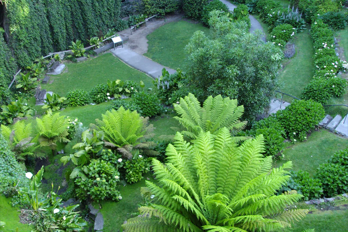 Architectural Purpose of the 'Wall of Paradise'