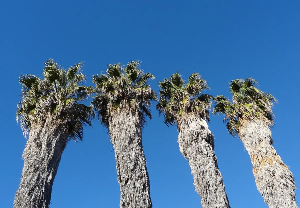 Colegiata del Sar: The Leaning Pillars of Santiago