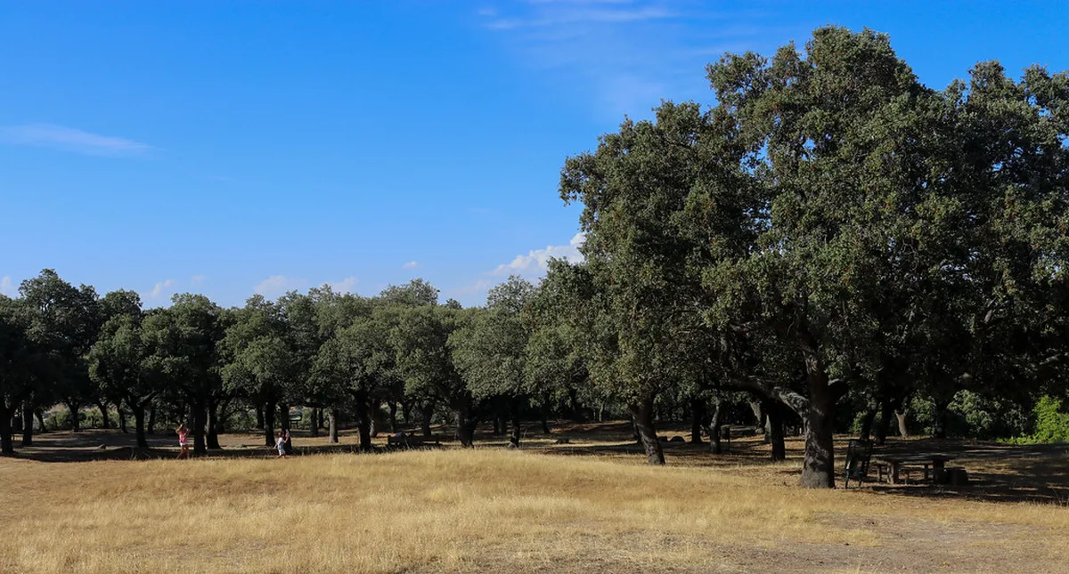 Discover the Royal Palace of Riofrío in Segovia, Spain