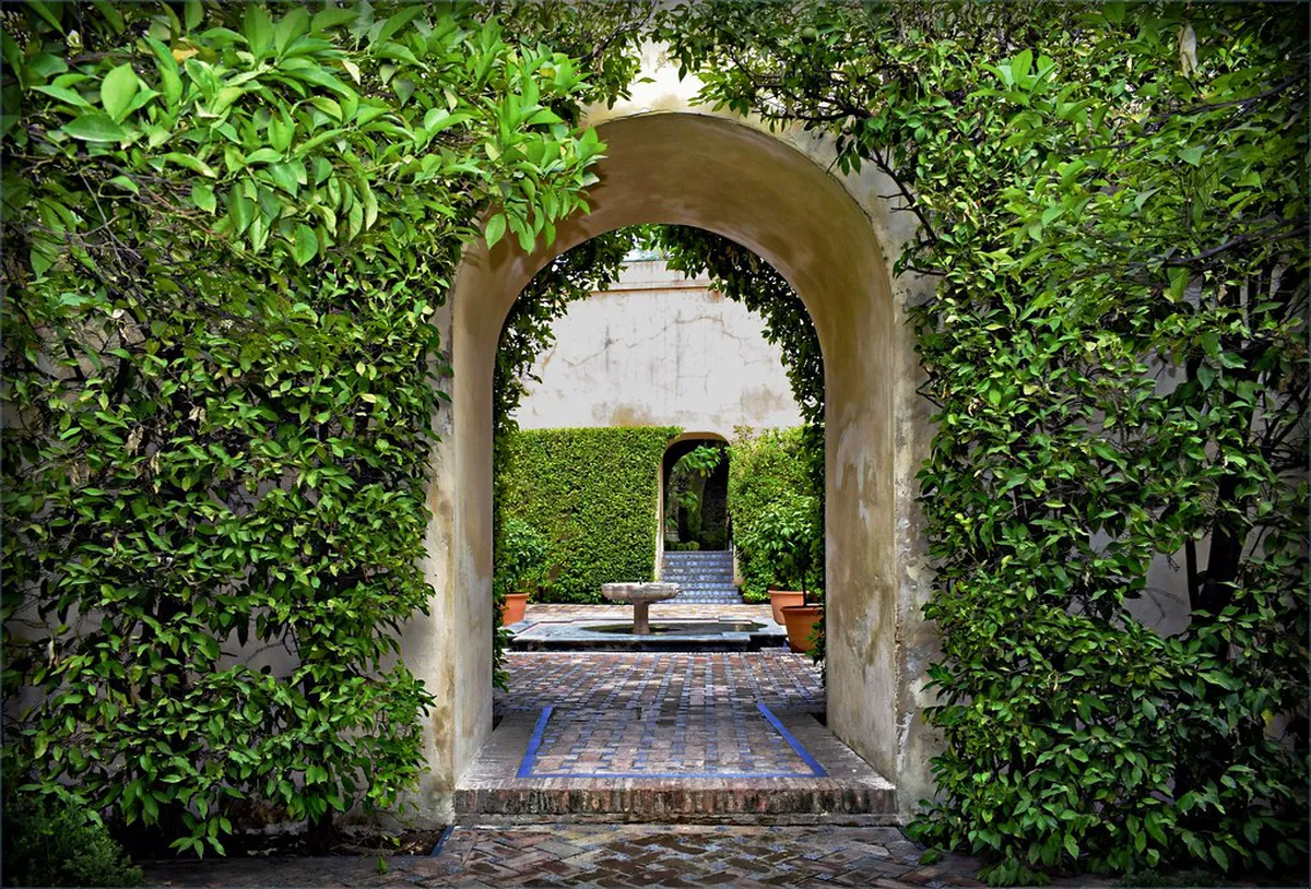 Seville's Stunning Courtyard Gardens: A 2025 Guide