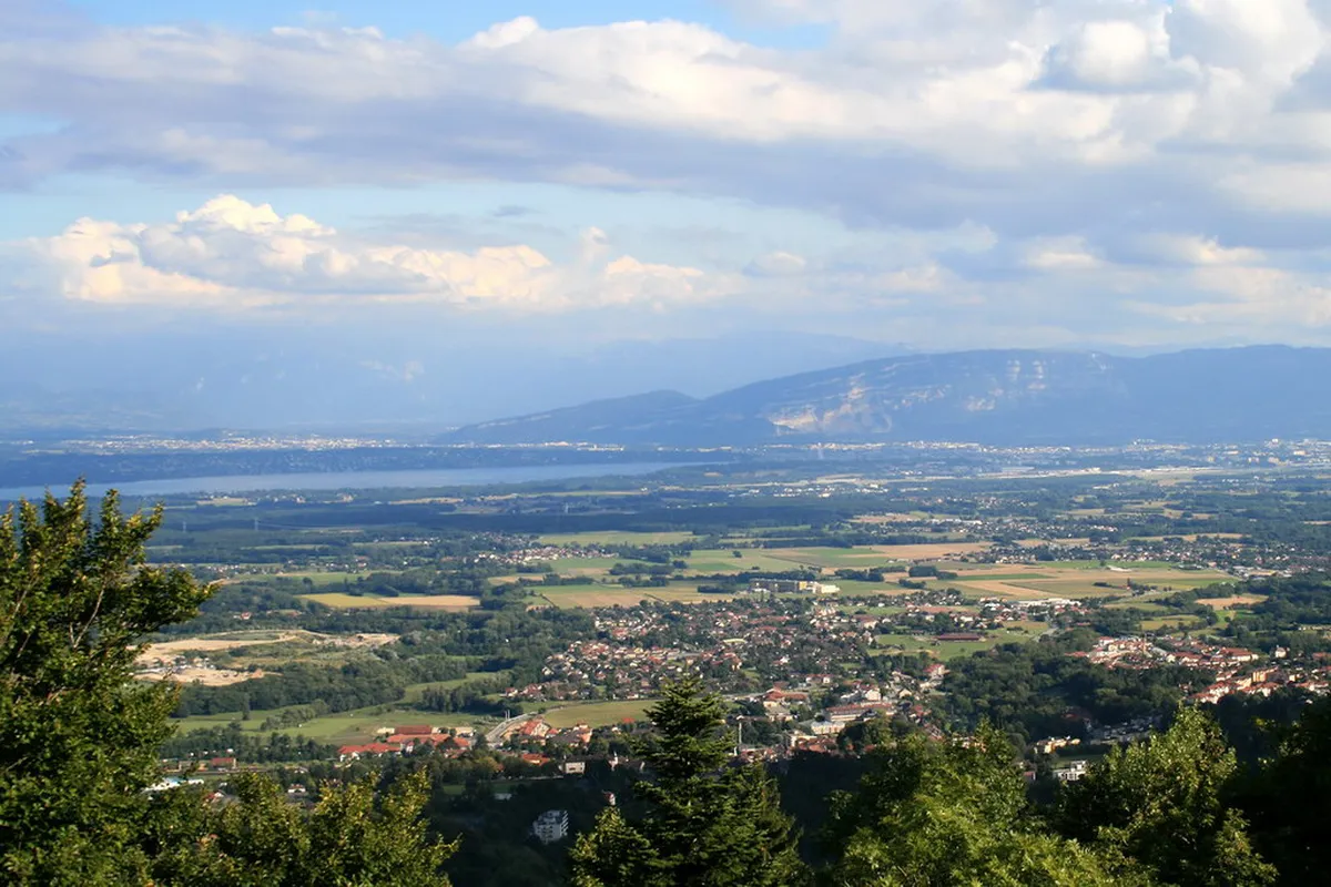 Visiting Metropol Parasol Walkway: Seville Views 2025