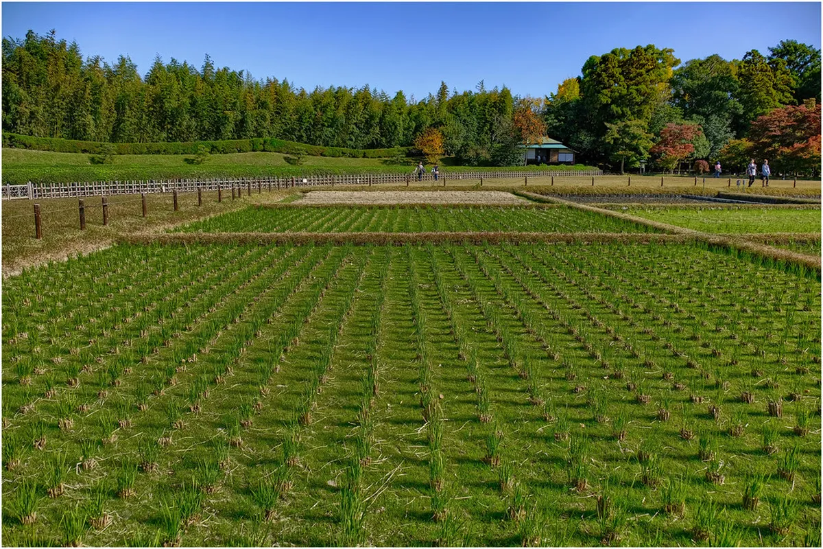 Best Sea View Properties in Tarifa: Your 2025 Guide