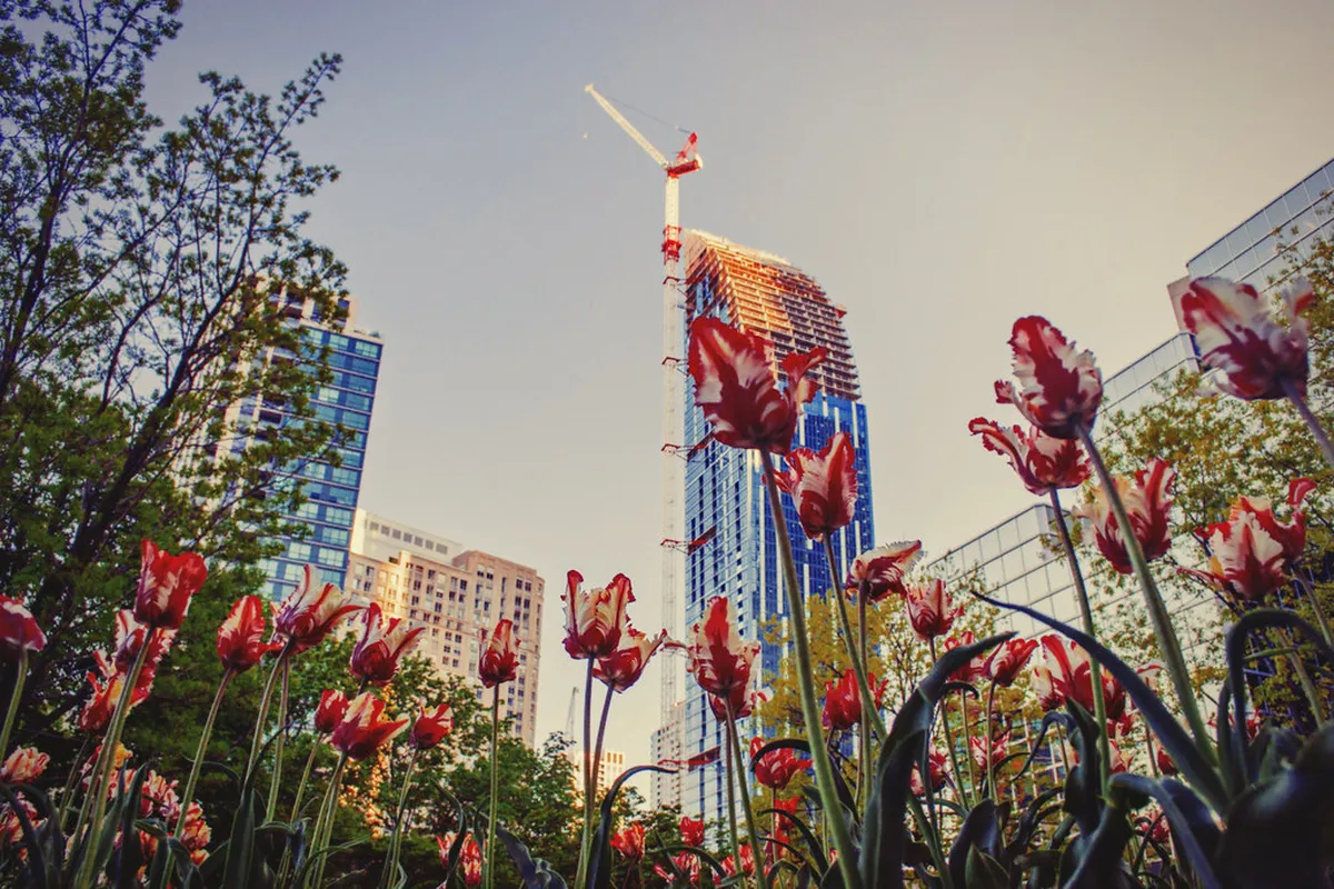 Residential Design Evolution in Tarifa, Spain