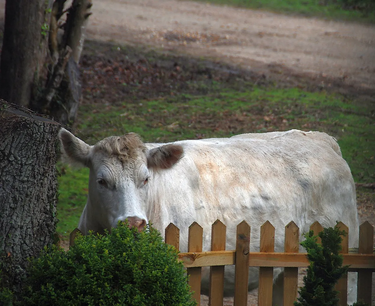 Local Stone in Tarifa: A Guide to Timeless Architecture