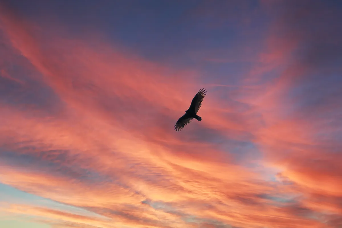 Self-Guided Walk of Toledo's Jewish Quarter in 2025