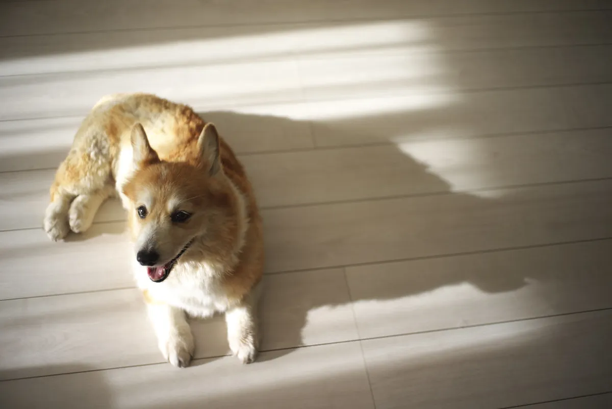 A Weekend Focused on Valencia's Architecture