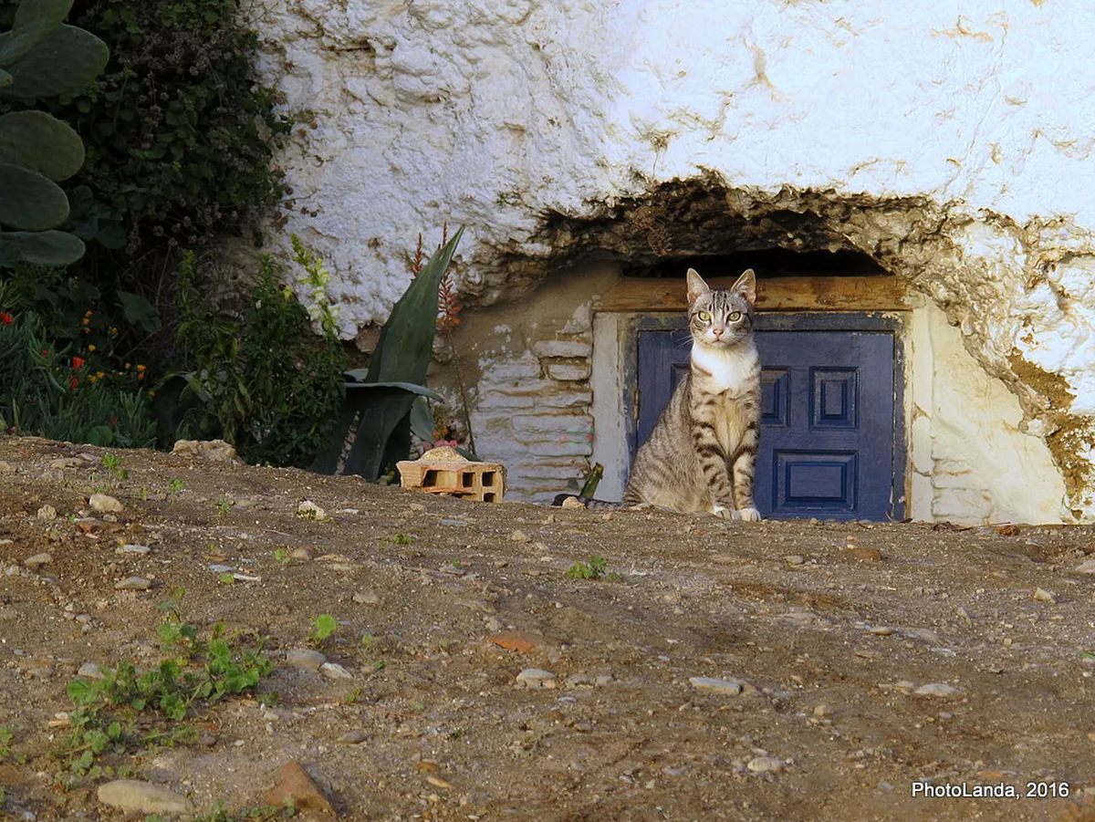 El Carmen District Architecture: Valencia's Historic Gem