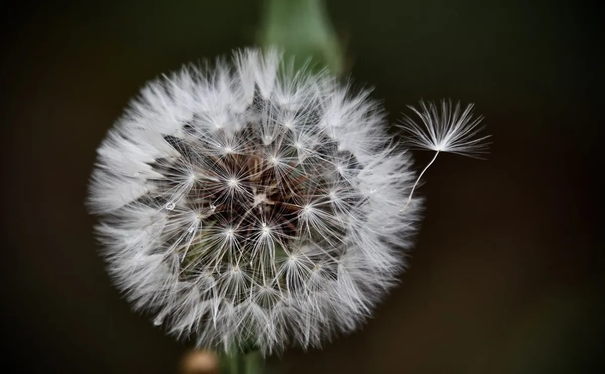 Estació del Nord: Unpacking its Facade Symbolism in Valencia